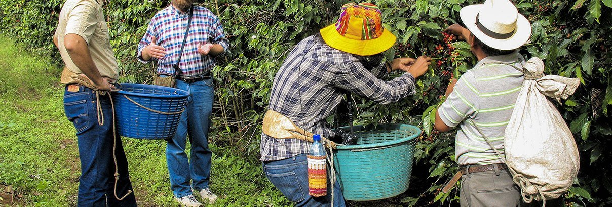 Coffee Excursion and Antigua Guatemala trip © 2022 Martsam Travel